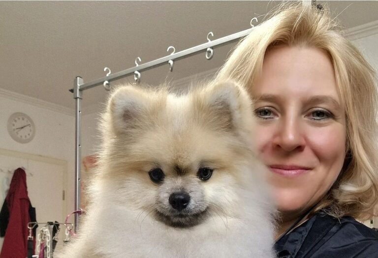 Cremefarbener Zwergspitz auf dem Arm der Hundefriseurin im Salon