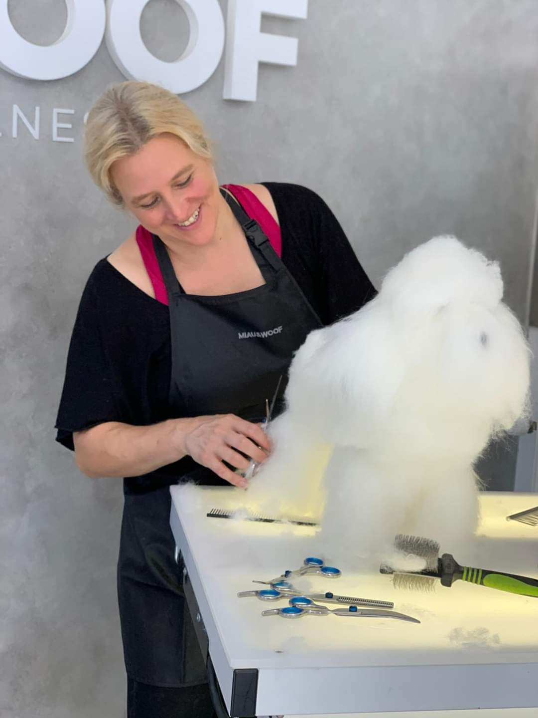 FB_IMG_1729286521190