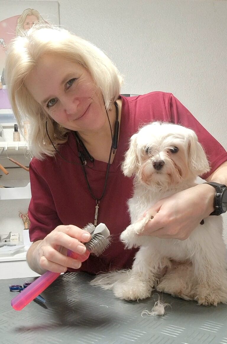 Hundefriseurin bürstet einen weißen Malteser mit der Zupfbürste, daneben liegen ausgebürstete Fellbüschel